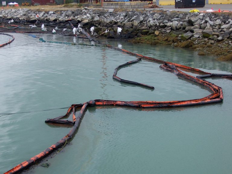 oil spill clean up